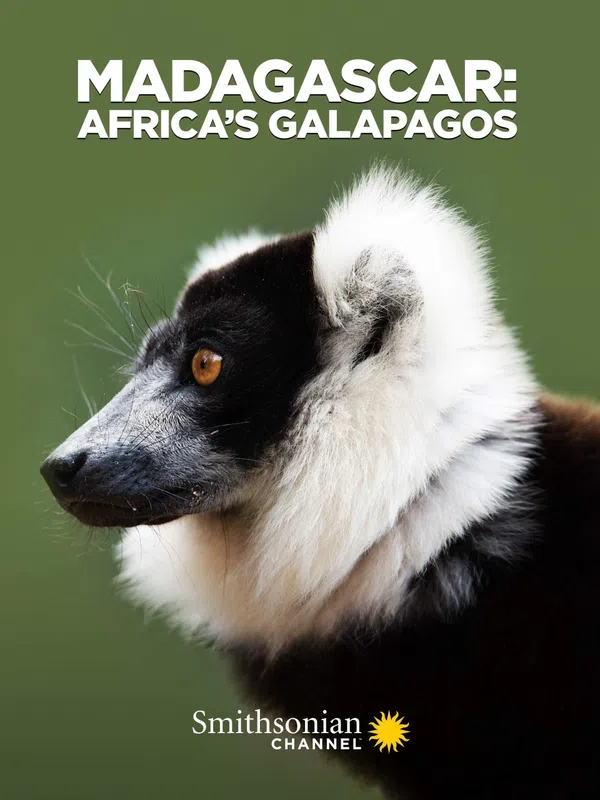 Poster phim Madagascar: Africa's Galapagos trên Xem Phim Fun