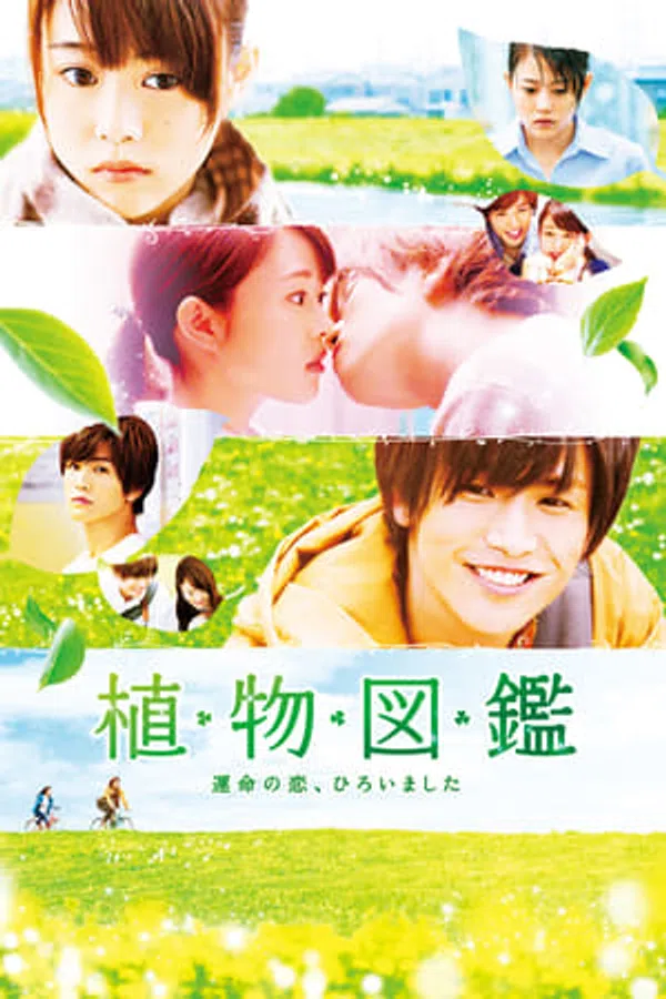 Poster phim Tình Yêu Định Mệnh Chợt Đến trên Xem Phim Fun